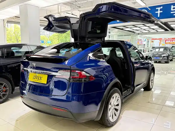 Tesla Model X 2018