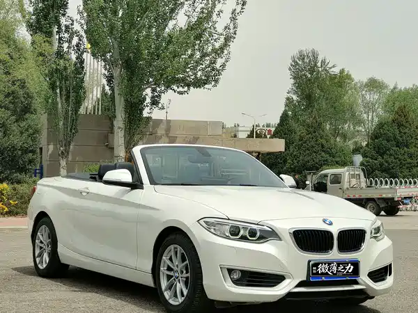 BMW 2 Series 2016