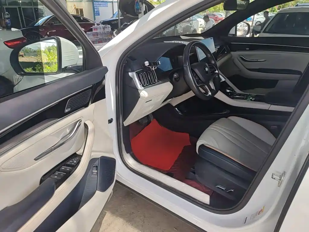 BYD Song PLUS New Energy 2022 — фото 16