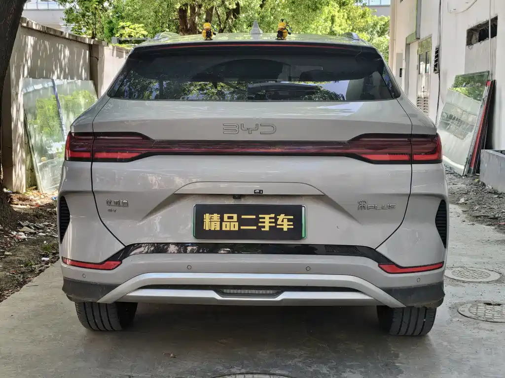 BYD Song PLUS New Energy 2024 — фото 12