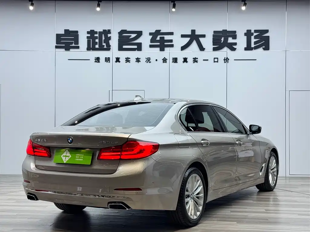 BMW 5 Series New Energy 2019