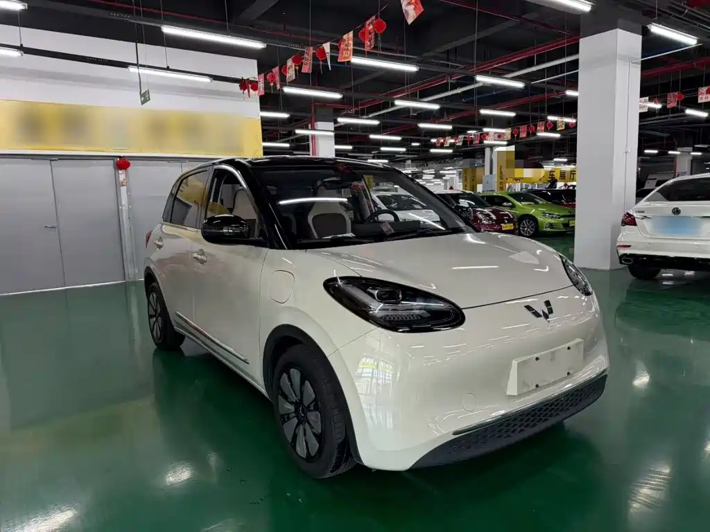 Wuling Bingo 2024