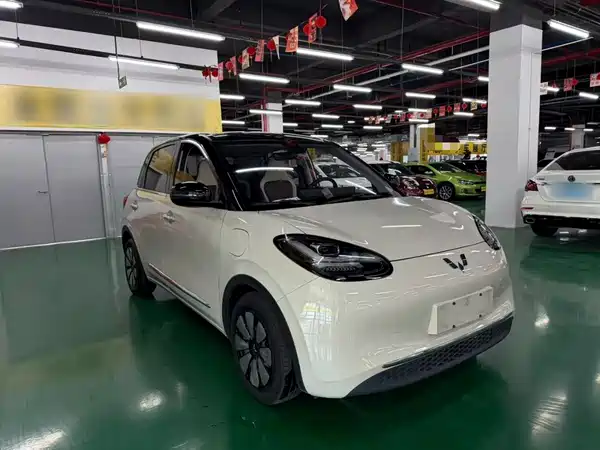 Wuling Bingo 2024