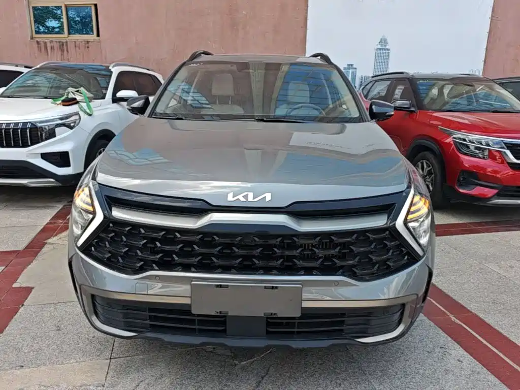 Kia Lion Platinum Expands The Boundary 2023 — фото 3