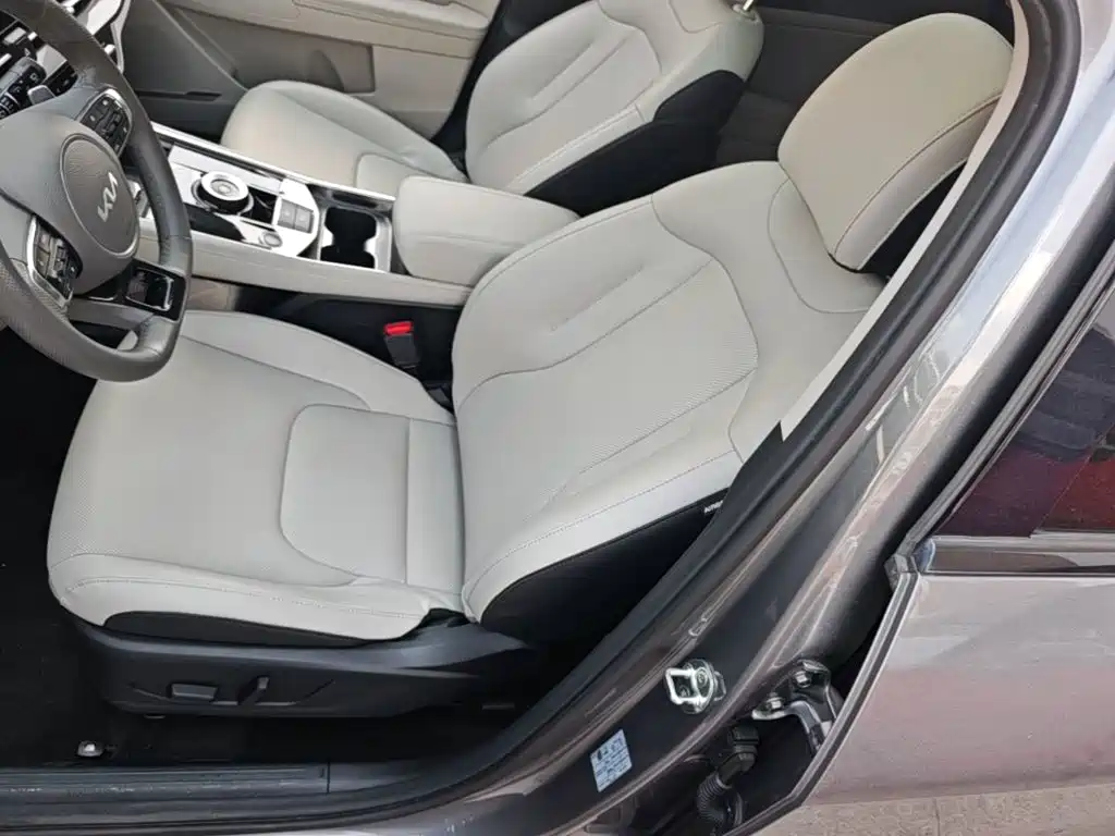Kia Lion Platinum Expands The Boundary 2023 — фото 15
