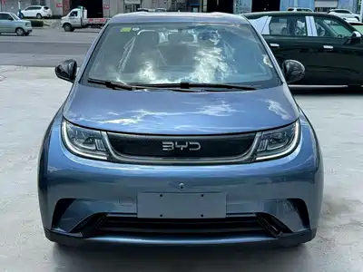 BYD Dolphin 2026