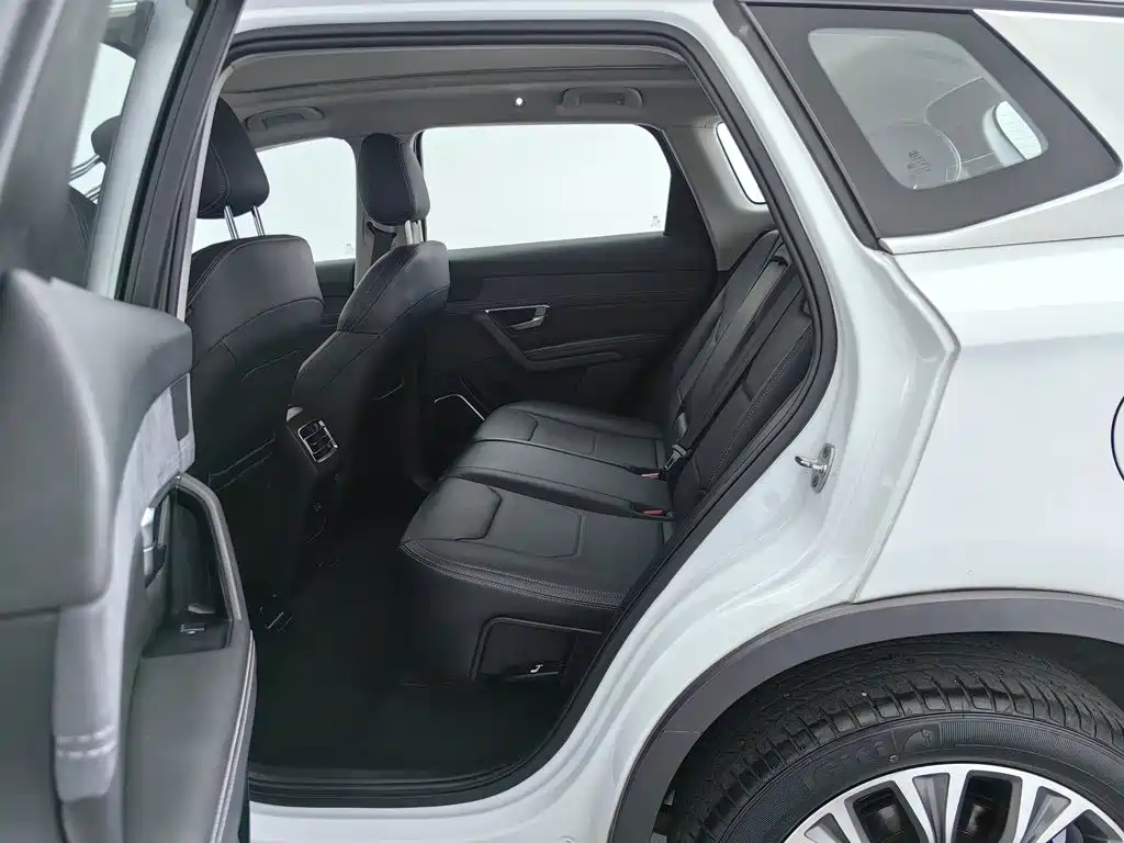 BYD Song Pro New Energy 2021 — фото 15
