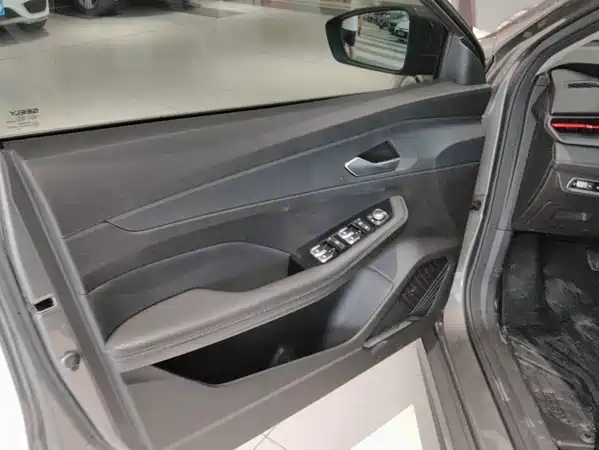 Geely Binrui 2022
