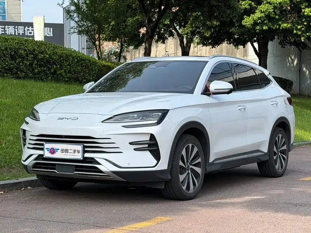 BYD Song PLUS New Energy 2024 — фото 1