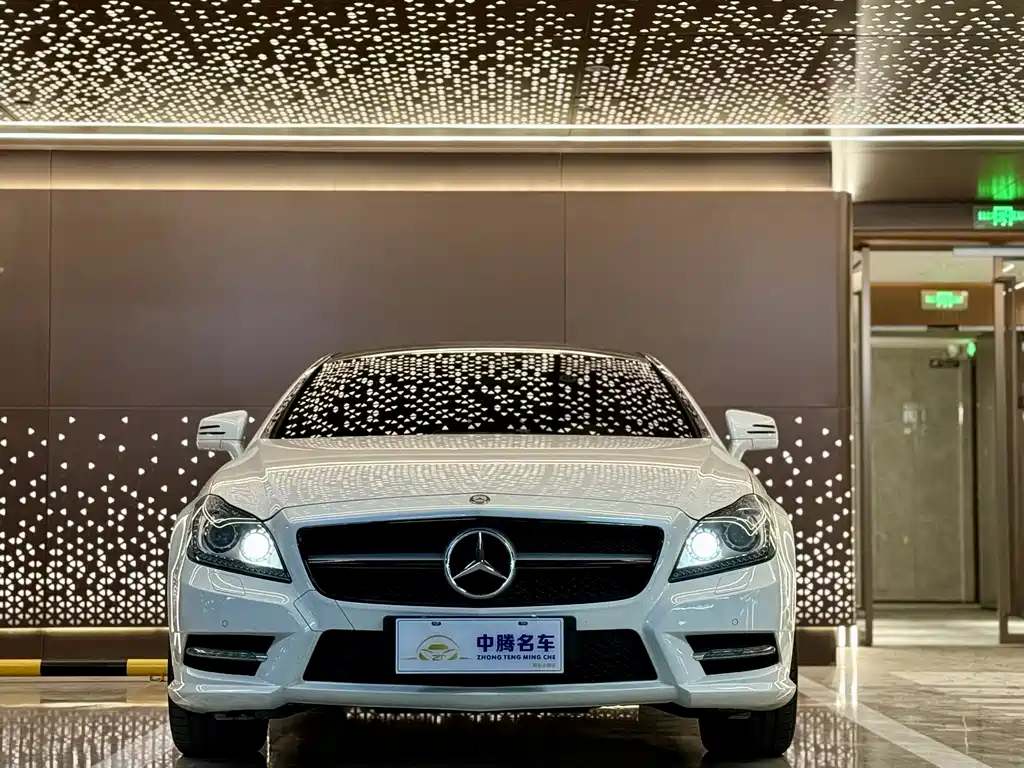 Mercedes-Benz CLS 2014 — фото 2