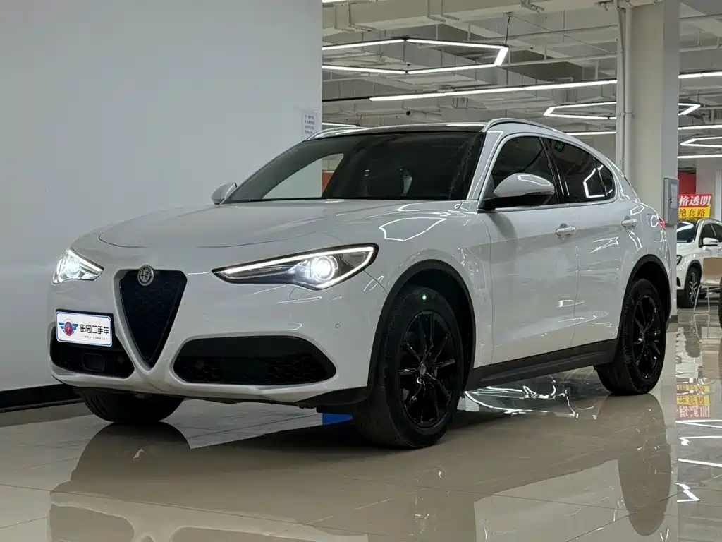Alfa Romeo Stelvio 2019 — фото 1
