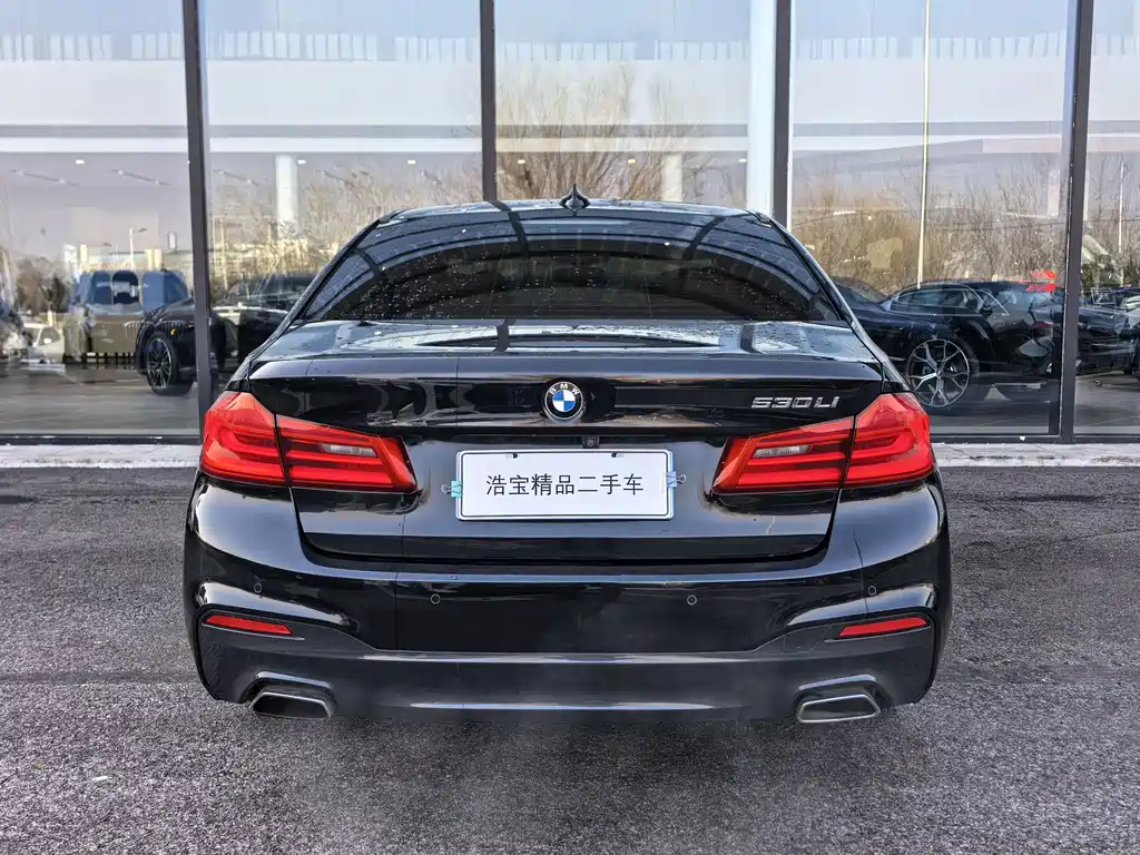 BMW 5 Series 2018 — фото 6