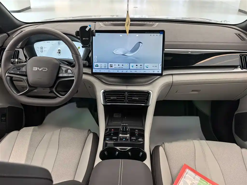 BYD PLUS New Energy 2025 — фото 17
