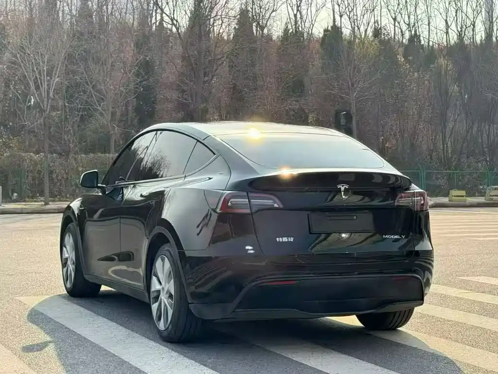 Tesla Model Y 2021 — фото 9