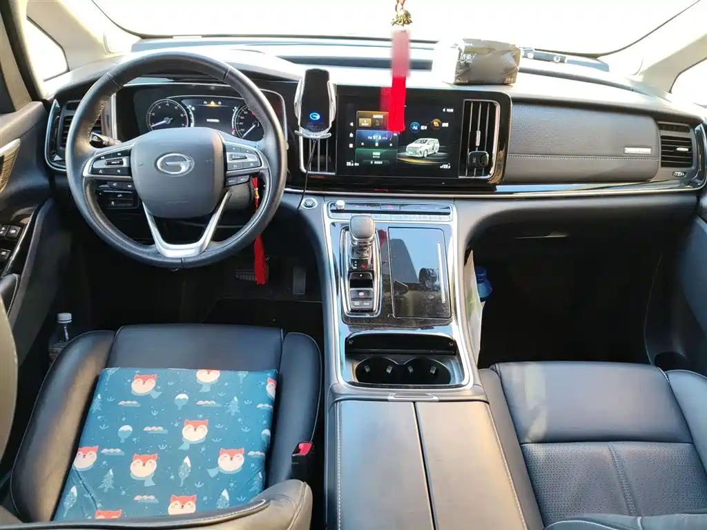 GAC Motor Trumpchi M8 2023 — фото 13