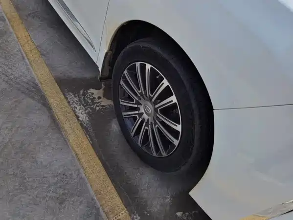 GAC Trumpchi M8 2020