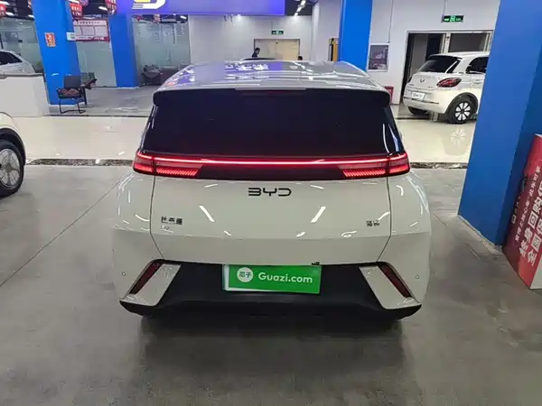 BYD Seagull 2024