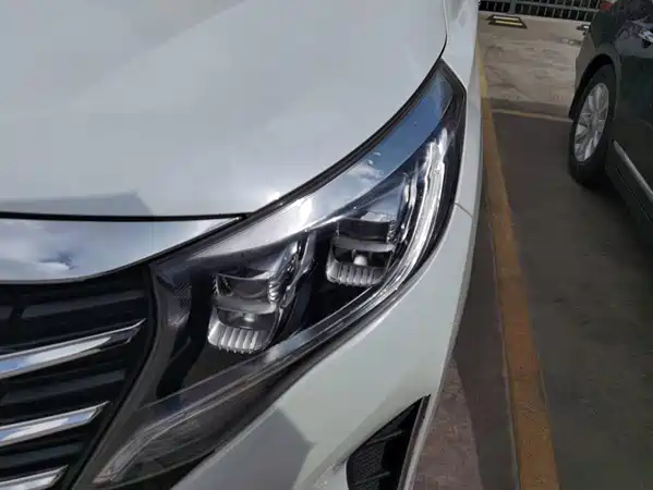 GAC Trumpchi M8 2020