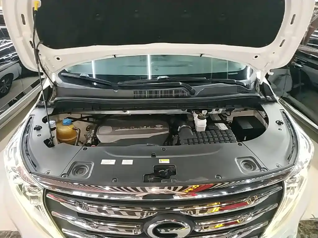 GAC Motor Trumpchi M8 2019 — фото 20
