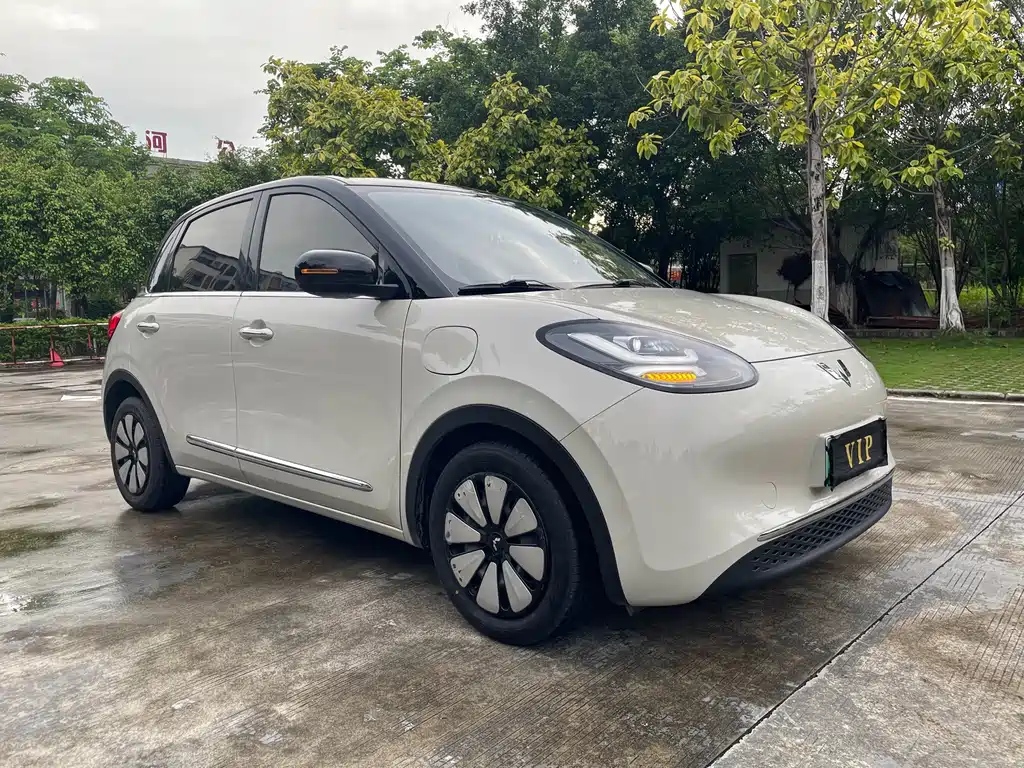 Wuling Bingo 2024