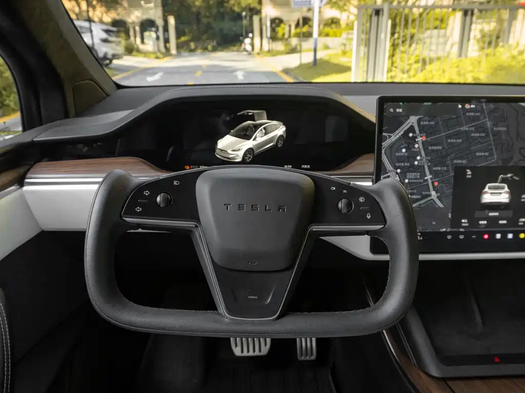 Tesla Model X 2023 — фото 10