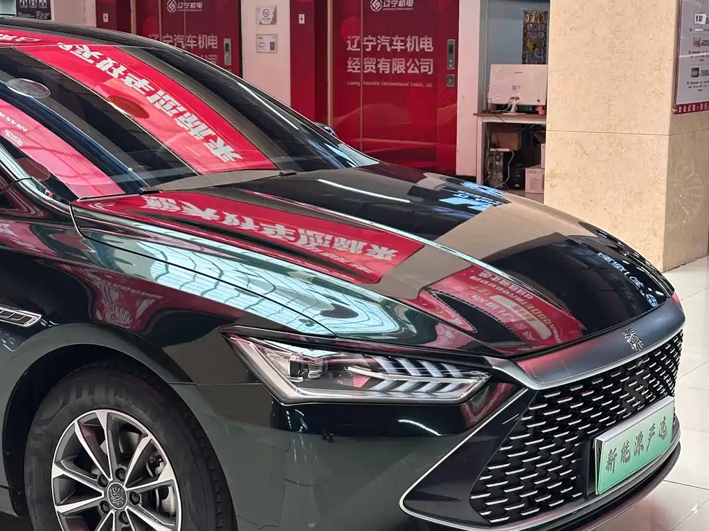 BYD Qin PLUS 2024 — фото 9