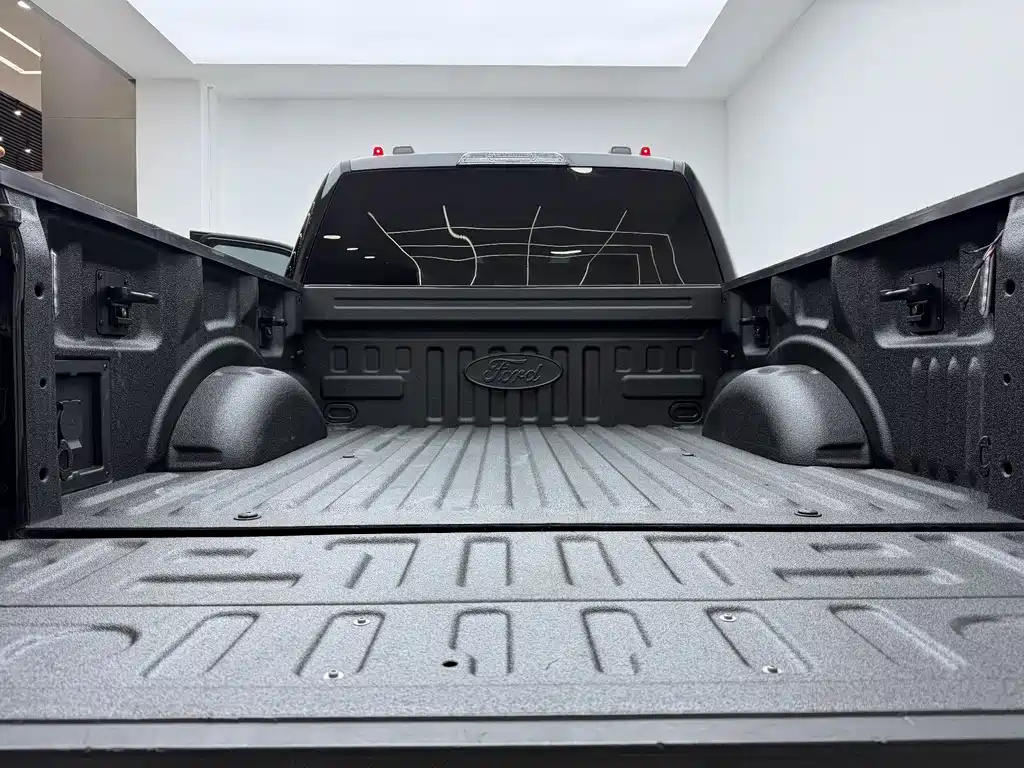 Ford F-150 Raptor 2023 — фото 8