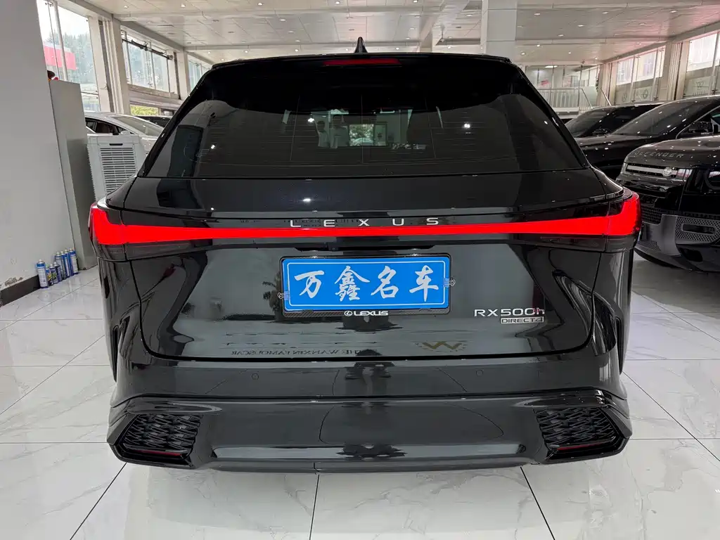 Lexus RX 2023 — фото 17