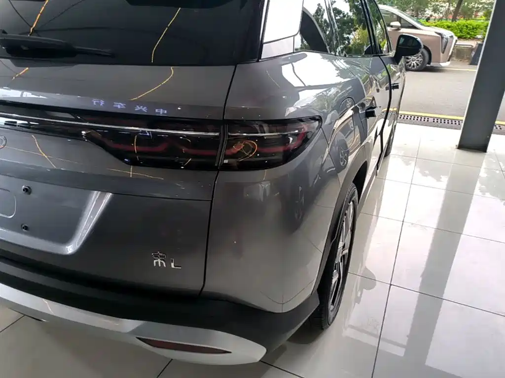 BYD L DM-i 2024 — фото 8