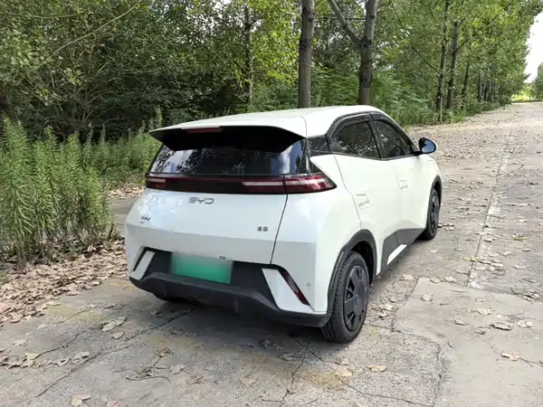BYD Seagull 2025