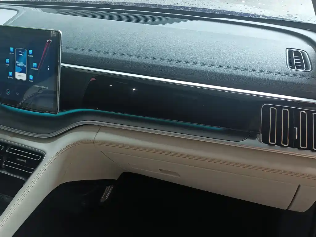BYD PLUS New Energy 2022 — фото 13