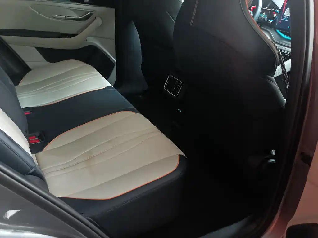 BYD PLUS New Energy 2022 — фото 10
