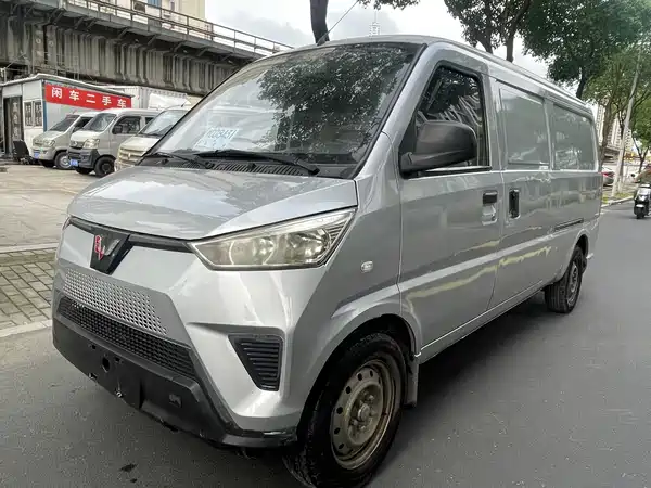 Wuling EV50 2020