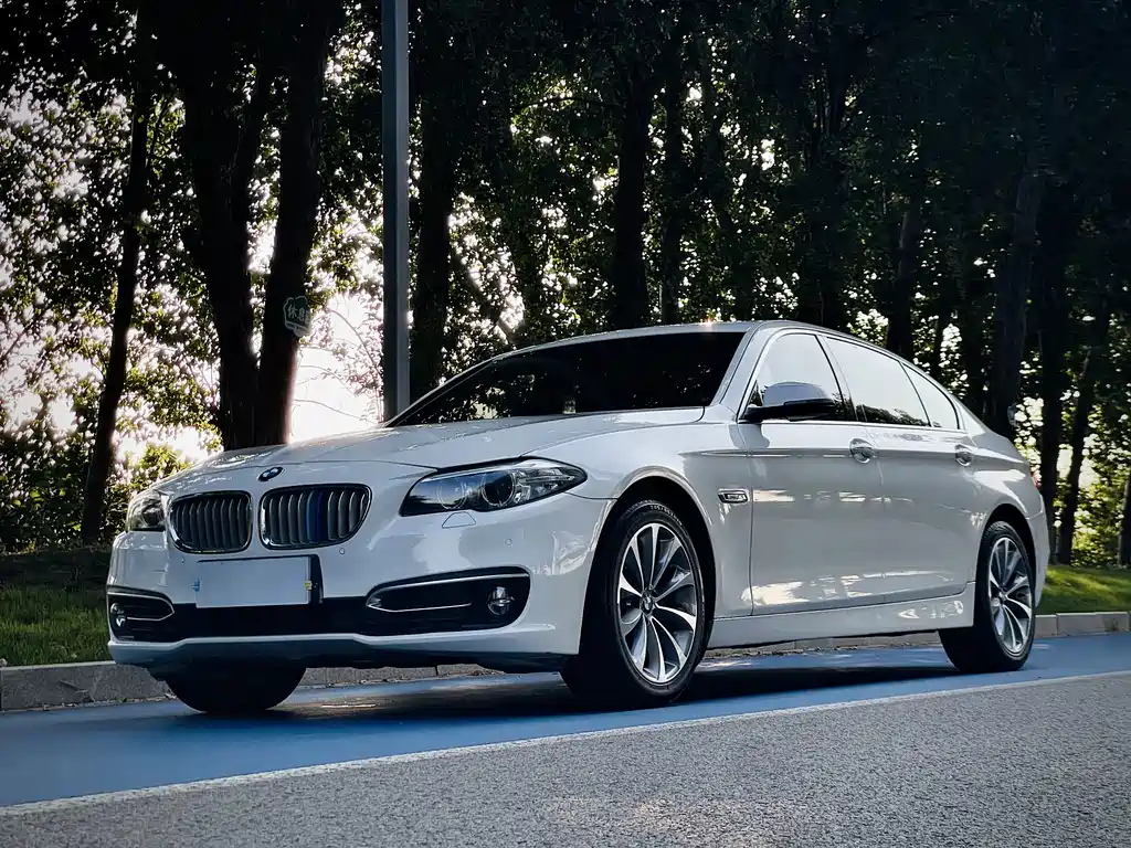 BMW 5 Series 2014