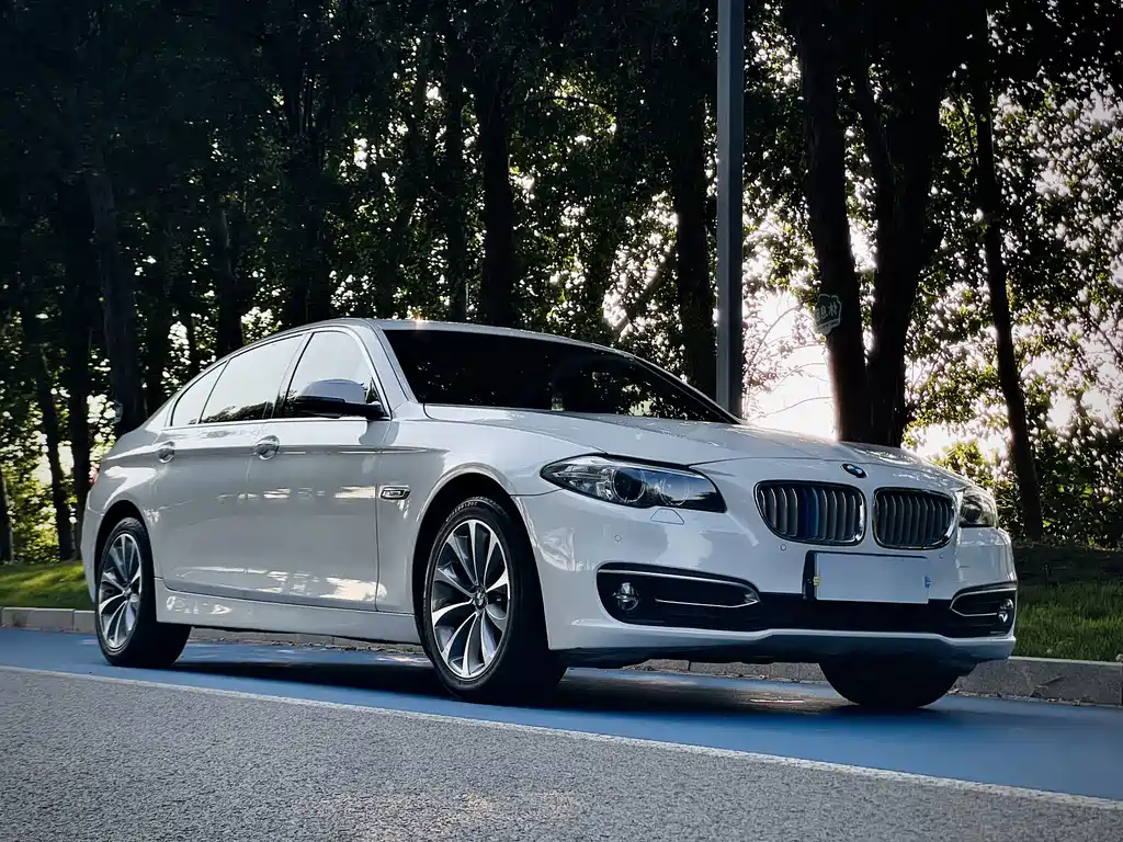 BMW 5 Series 2014