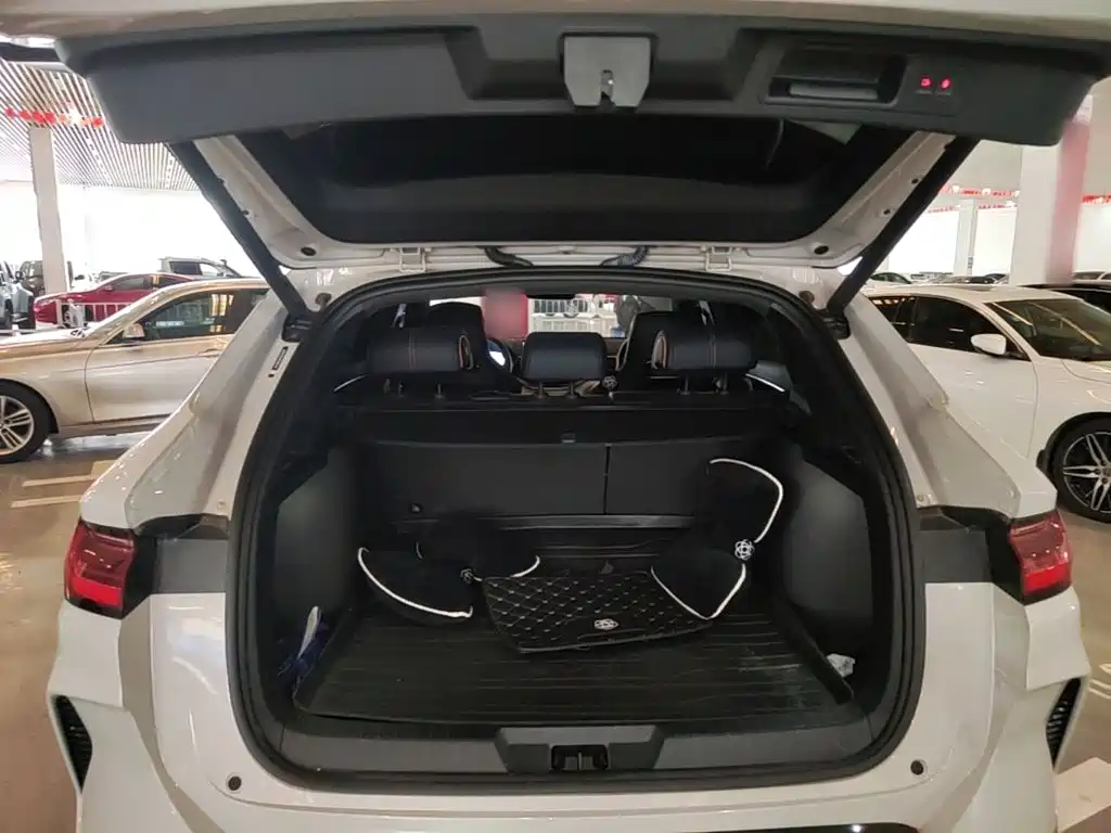 BYD Song PLUS New Energy 2023 — фото 19