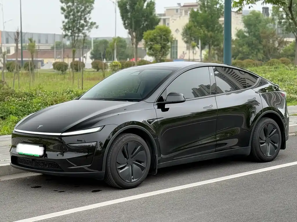 Tesla Model Y 2025 — фото 1