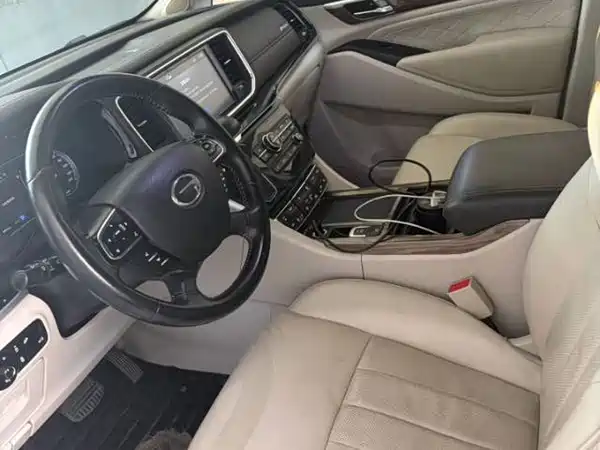 GAC Trumpchi M8 2019