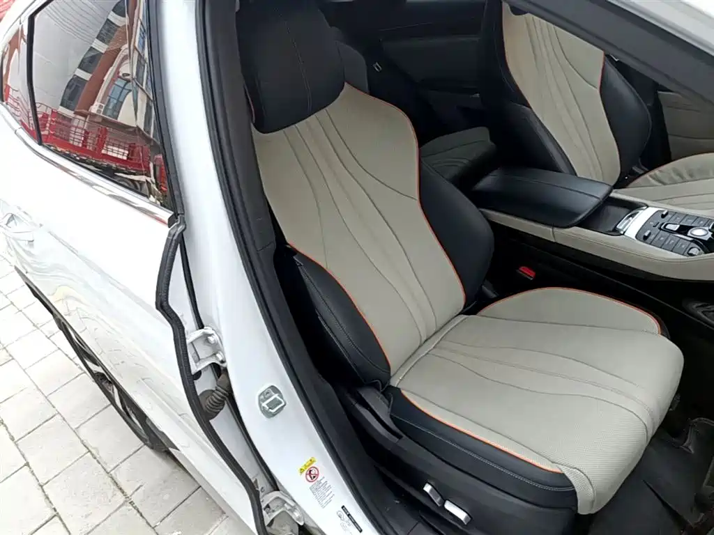 BYD PLUS New Energy 2022 — фото 25