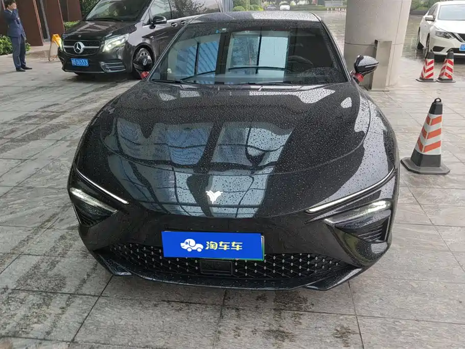 Neta S 2024