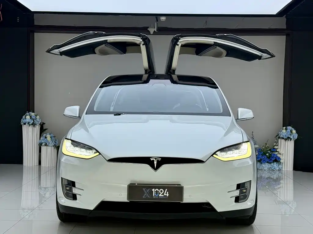 Tesla Model X 2018 — фото 2