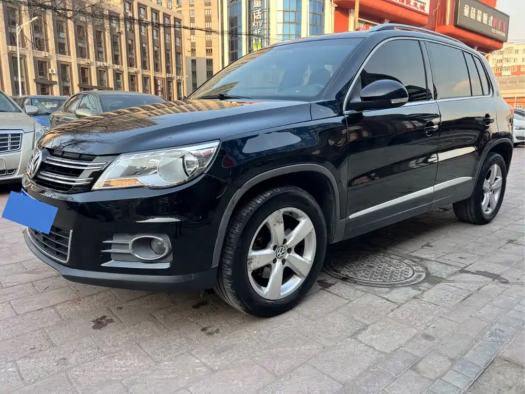 Volkswagen Tiguan 2013 — фото 1