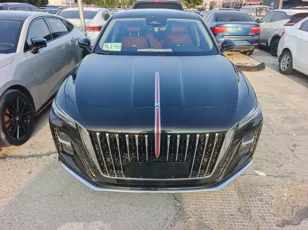 Hongqi H5 2024