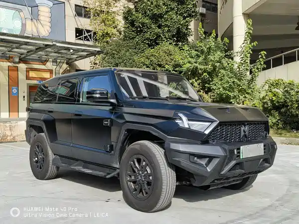 Mengshi 917 2023