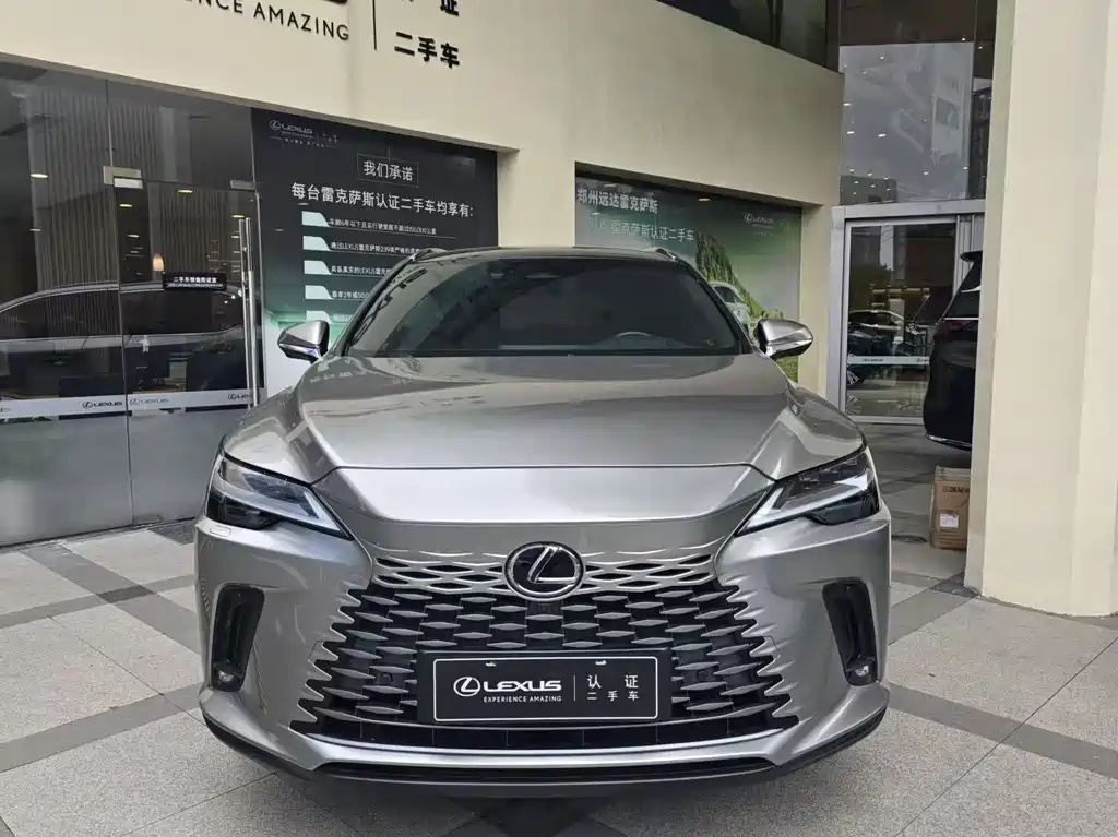 Lexus RX New Energy 2023 — фото 2