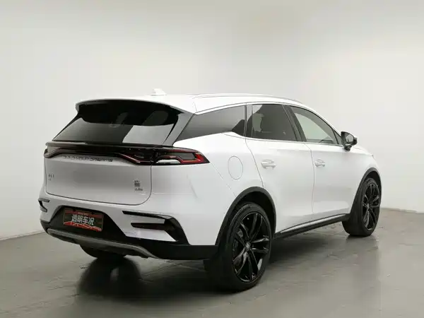 BYD Tang New Energy 2020
