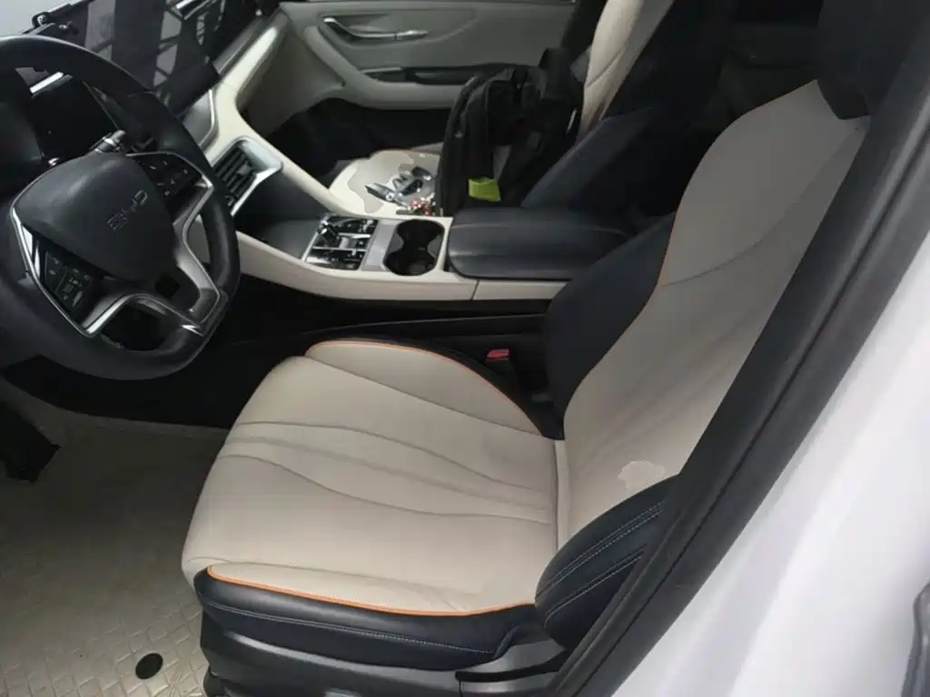 BYD Song PLUS New Energy 2024 — фото 11