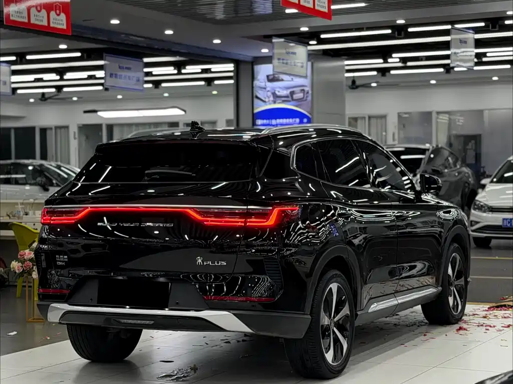 BYD PLUS New Energy 2021 — фото 6