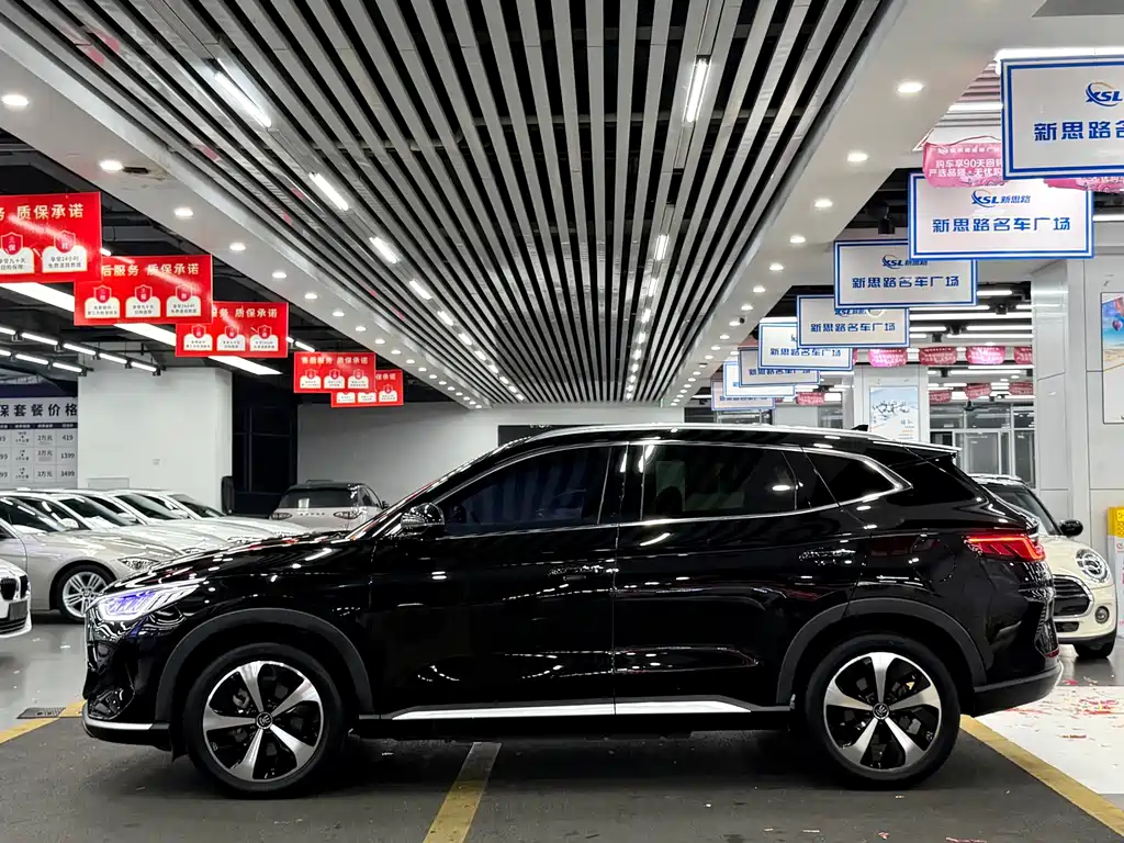 BYD PLUS New Energy 2021 — фото 7