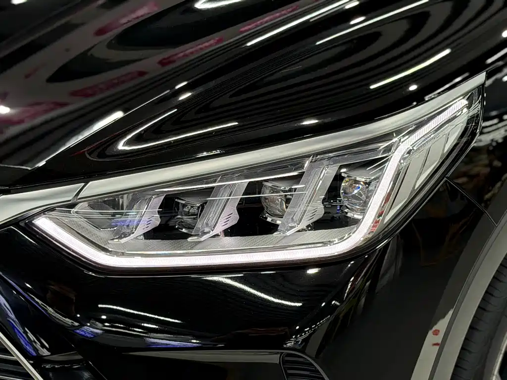 BYD PLUS New Energy 2021 — фото 18